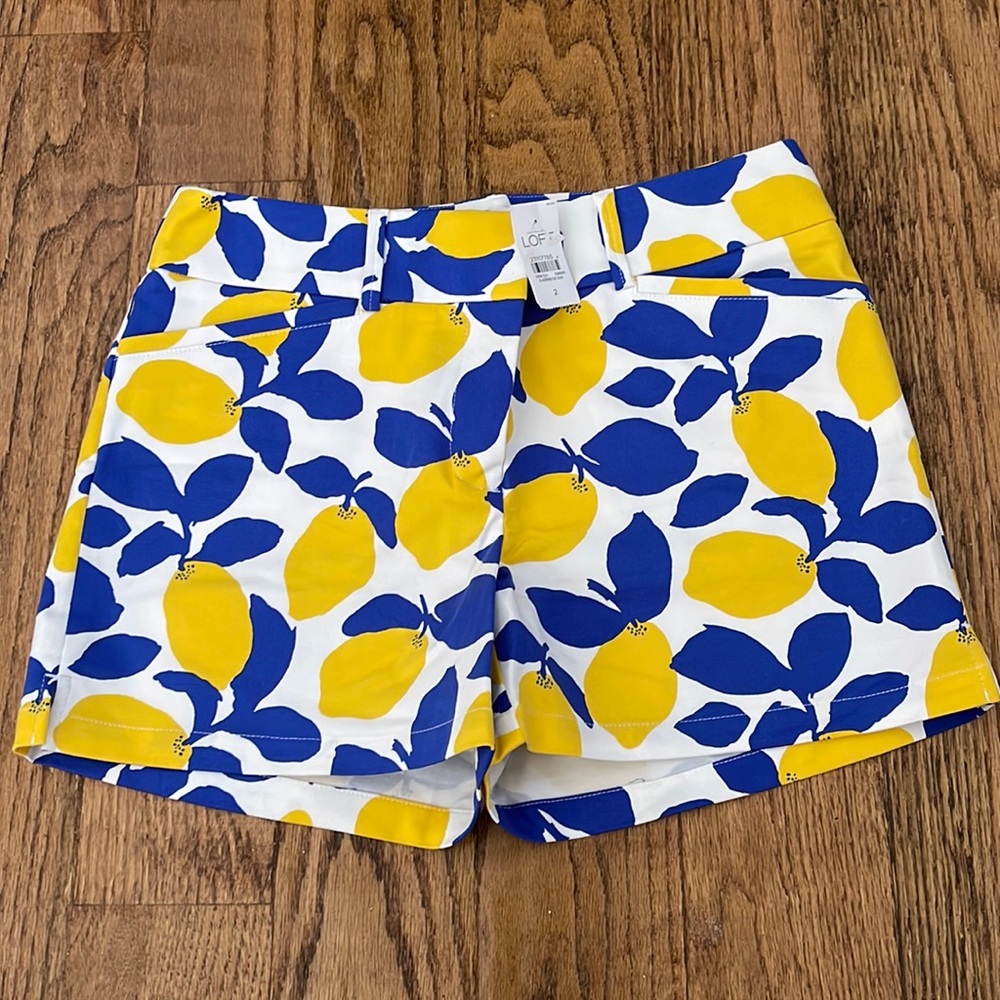 Ann Taylor LOFT The Riviera short size 2